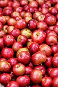 Image result for Best Apple Product for Photography