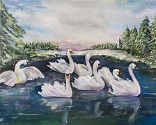 Image result for 7 Swans a Swimming Pics