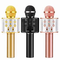 Image result for Personal Microphone and Speaker