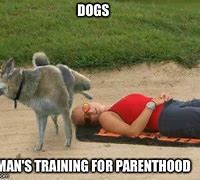 Image result for Dog Training Meme