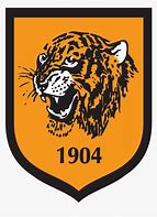Image result for Hull City Tigers