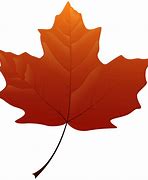 Image result for Fall Leaf Clip Art