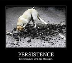 Image result for Memes About Perseverance