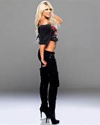 Image result for Kelly Kelly WWE Attire