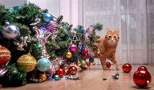 Image result for Breaking Cat News Christmas