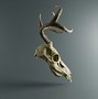Image result for Deer Skull Front View with Jaw