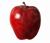 Image result for Apple Fruit Picture