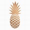 Image result for Dried Fruit Pineapple Aesthetic
