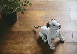 Image result for First Aibo Robot Dog