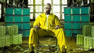 Image result for Officers Schrader Breaking Bad