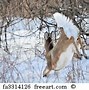 Image result for Whitetail Deer at Sunrise Wallpaper