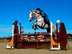 Image result for Oldenburg Horse Show Jumping