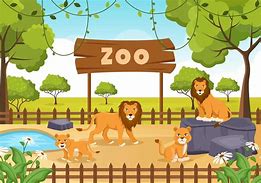 Image result for Zoo Animation