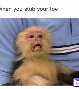 Image result for Stub Your Toe Meme