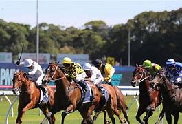 Image result for Melbourne Horse Racing