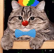 Image result for Clown Cat Emoji