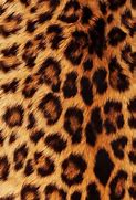 Image result for Cheetah Print Screensaver