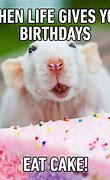 Image result for Birthday Fun