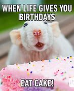 Image result for Funny Birthday Wish Meme