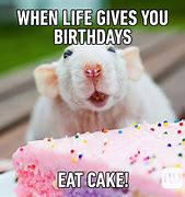 Image result for Funny Color Happy Birthday Memes