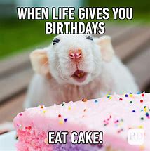 Image result for Animals Birthday Card Memes