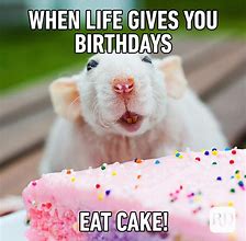 Image result for Birthday Cake MEME Funny