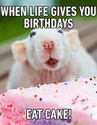 Image result for Funny Birthday Memes