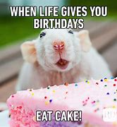 Image result for Funny Animal Birthday Memes