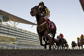 Image result for Horses Photo Finish