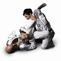 Image result for Brazilian Jiu Jitsu Training