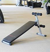 Image result for Reverse Sit Up Bench