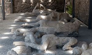 Image result for The Bodies of Pompeii