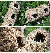 Image result for Woven Bird Nest
