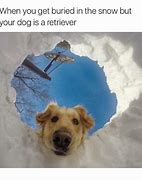 Image result for Buried in Snow Meme