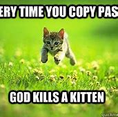 Image result for Funny Copy and Paste