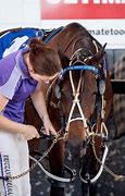 Image result for Free Harness Racing Clip Art
