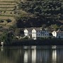 Image result for Quinta do Vesuvio Porto