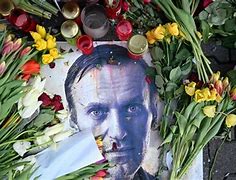 Image result for Alexei Navalny Injured