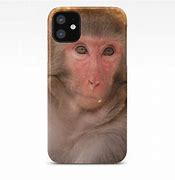 Image result for Monkey iPhone 5 Case