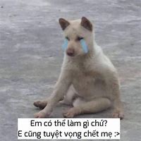 Image result for Meme Đi Ỉa