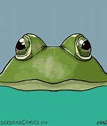 Image result for Derp Frog