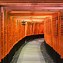 Image result for Torii Gates at Fushimi Inari Shrine