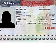 Image result for Us H1B Visa