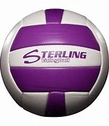 Image result for Purple Volleyball