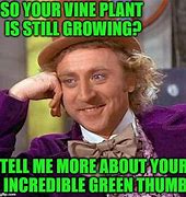 Image result for Things That Grow On Vine
