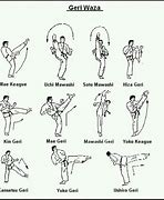 Image result for Types of Karate Mae Garikicks