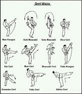 Image result for Types of Karate Mwashi Giri