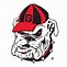 Image result for Georgia Bulldogs Football Logo