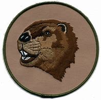 Image result for Animal Patches