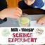 Image result for Human Body Science Experiments for Kids
